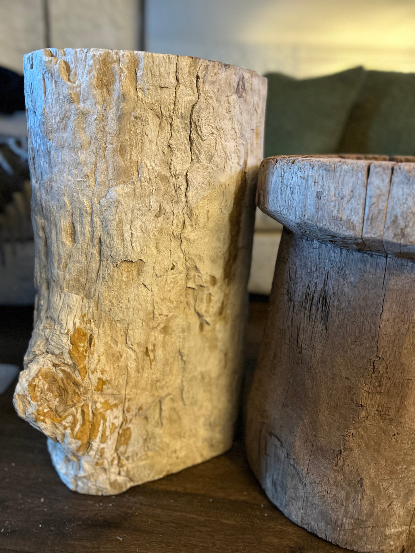 Fossil Stools